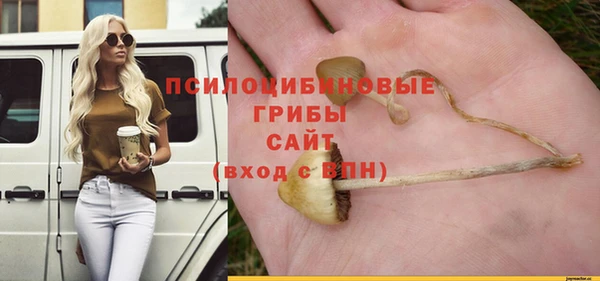 гидропоника Бронницы