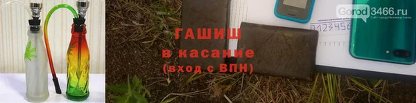 мяу мяу мука Бородино