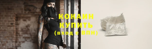 прущие грибы Верхний Тагил