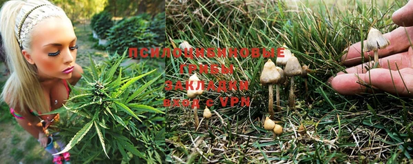 мяу мяу мука Бородино