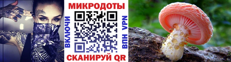 Галлюциногенные грибы Psilocybine cubensis  где купить наркоту  darknet клад  Томмот 